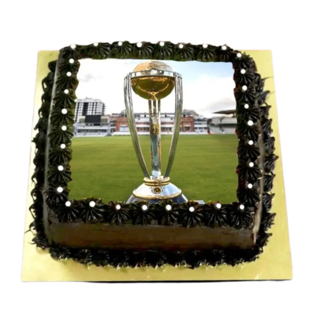 Cricket World Cup Cake