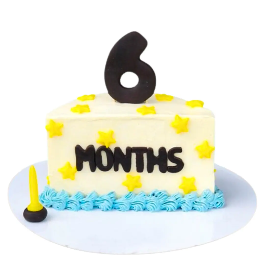 6 Month Cake - Birthday