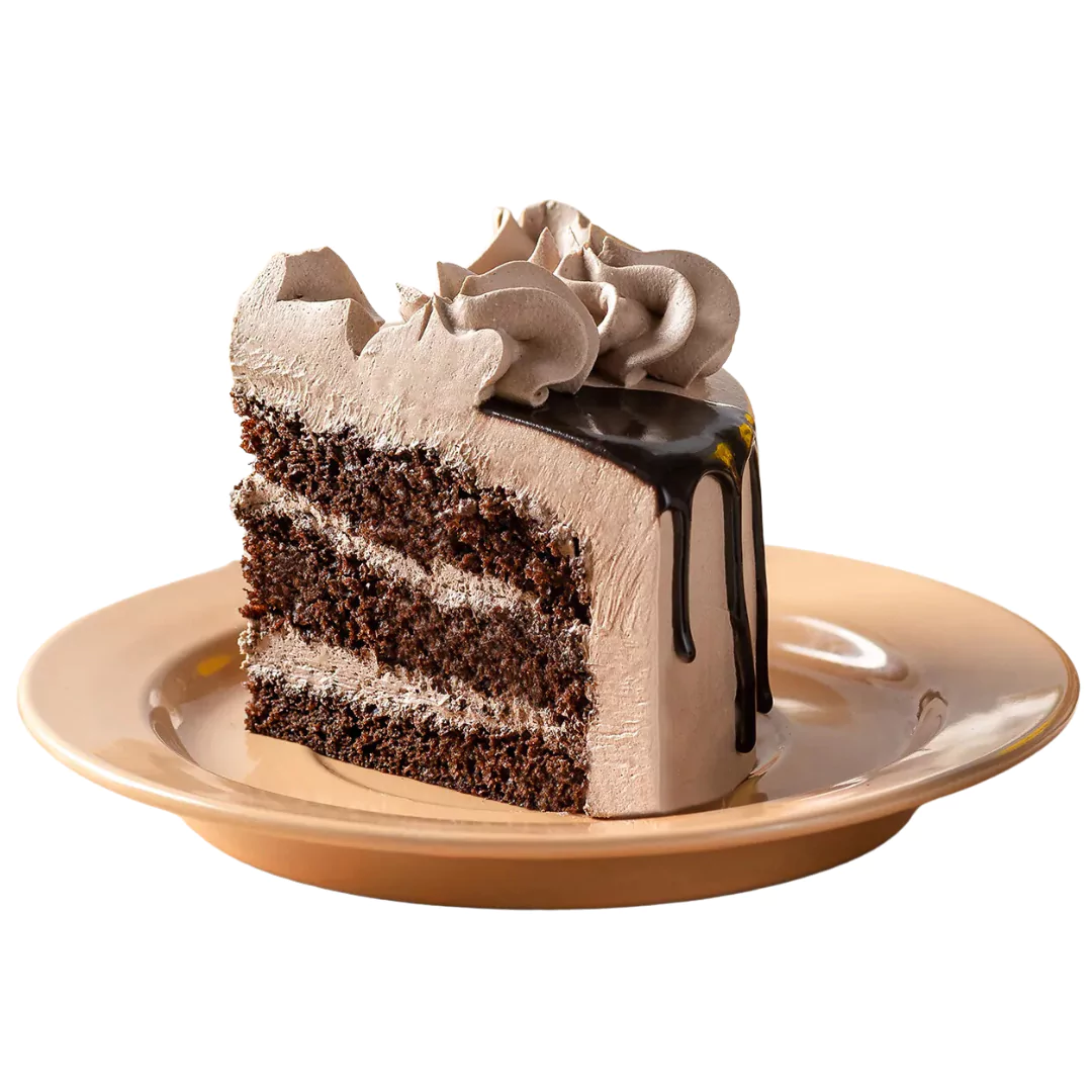 Chocolate Caramel Fudge Cake