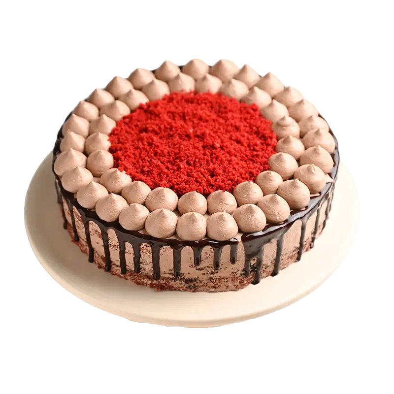 Chocolate Velvet Fusion Cake